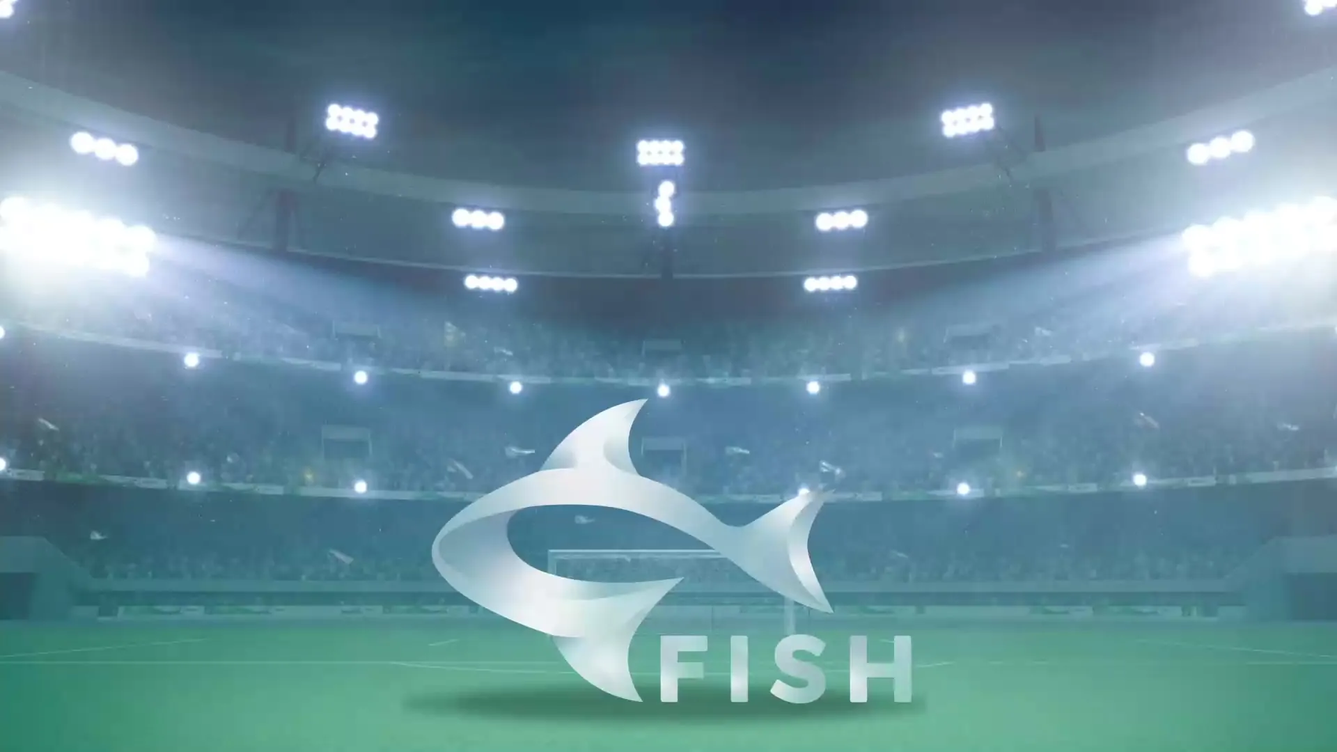 경기장 위의 FISH 로고